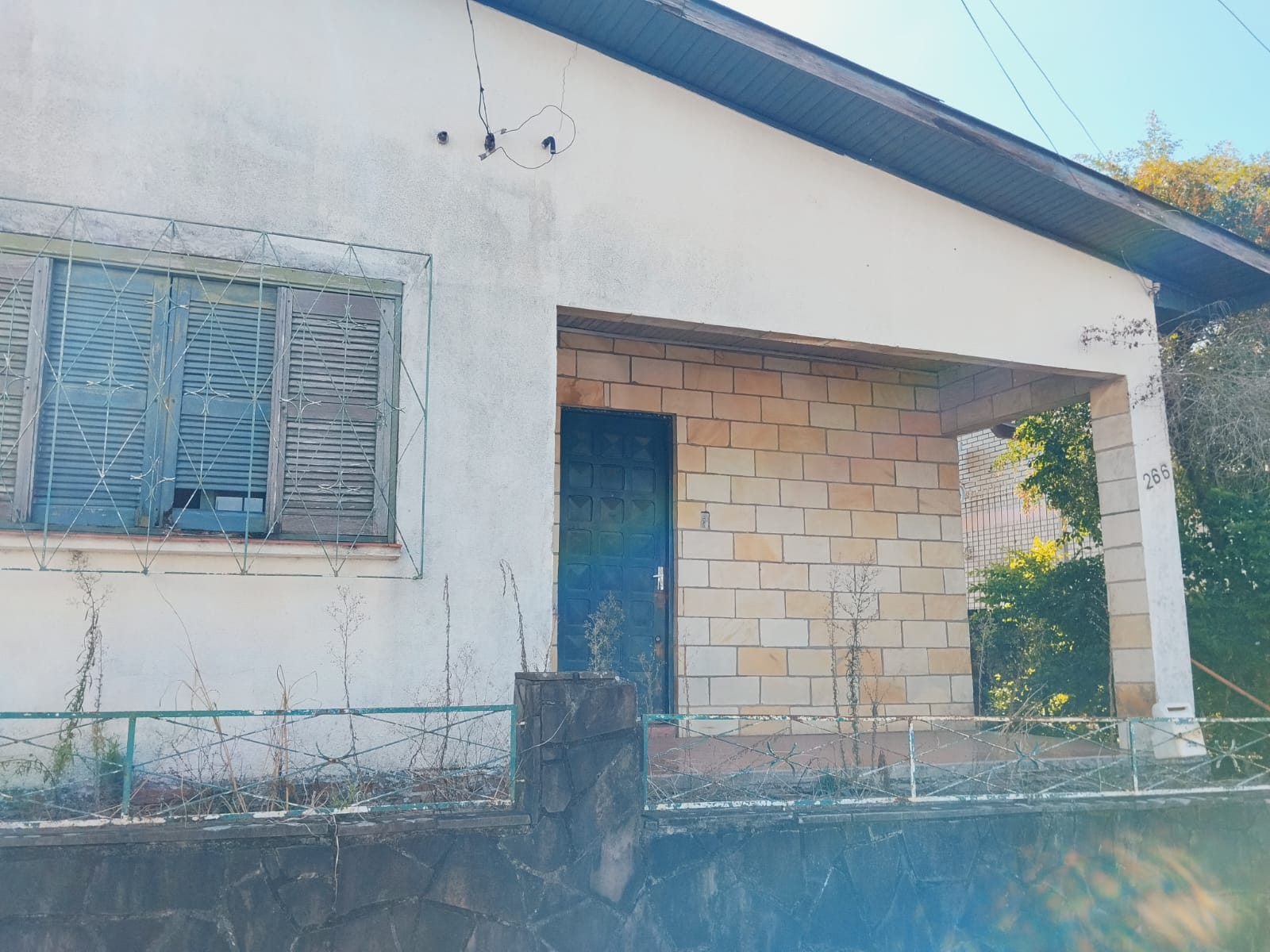 WhatsApp Image 2026-04-08 at 19.20.13