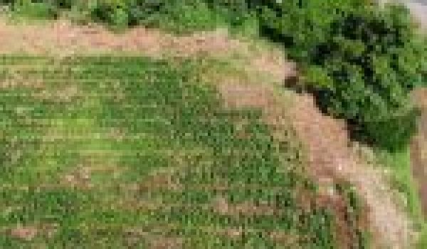 WhatsApp-Image-2022-11-01-at-12.09.20-2-150x150