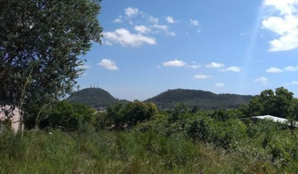 WhatsApp Image 2022-11-07 at 17.04.32 (1)