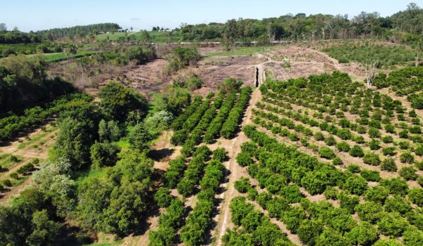 WhatsApp Image 2023-03-10 at 14.03.13 (1)