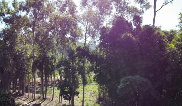 WhatsApp Image 2023-03-10 at 14.03.13