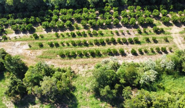 WhatsApp Image 2023-03-10 at 14.03.14 (2)