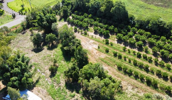 WhatsApp Image 2023-03-10 at 14.03.15 (1)