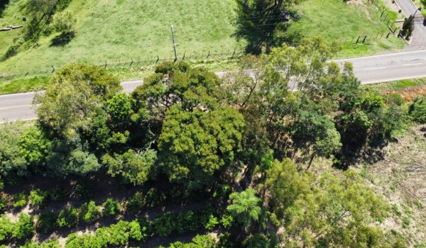 WhatsApp Image 2023-03-10 at 14.03.15