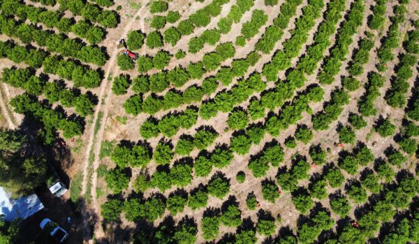 WhatsApp Image 2023-03-10 at 14.03.16 (1)