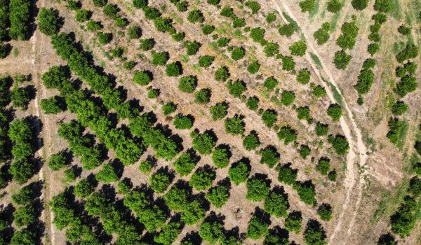 WhatsApp Image 2023-03-10 at 14.03.16 (2)