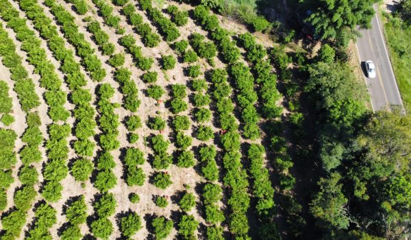 WhatsApp Image 2023-03-10 at 14.03.16