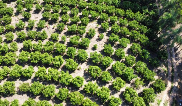 WhatsApp Image 2023-03-10 at 14.03.17 (1)