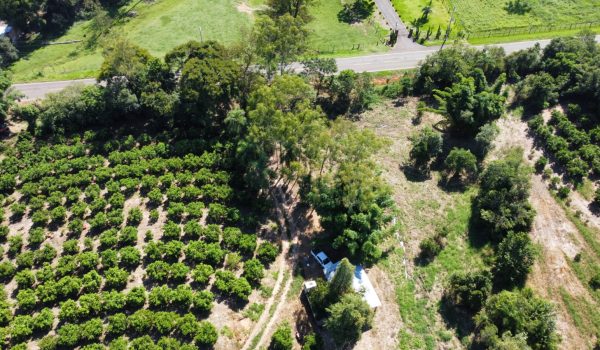 WhatsApp Image 2023-03-10 at 14.03.17 (2)