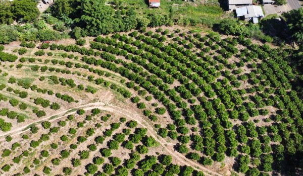 WhatsApp Image 2023-03-10 at 14.03.17 (3)