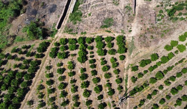 WhatsApp Image 2023-03-10 at 14.03.17