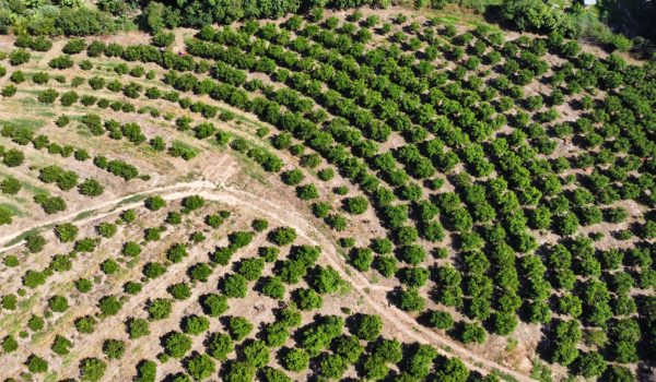 WhatsApp Image 2023-03-10 at 14.03.18