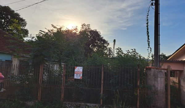 WhatsApp Image 2023-05-25 at 12.07.32