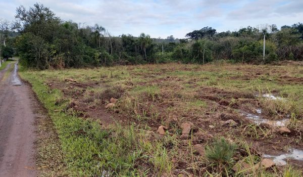 WhatsApp Image 2023-06-23 at 11.12.42