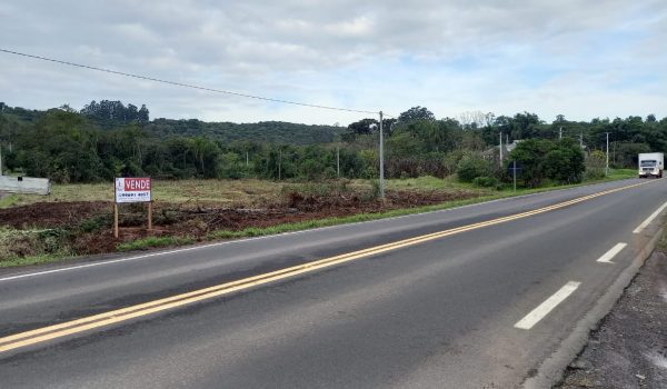 WhatsApp Image 2023-06-23 at 11.12.43