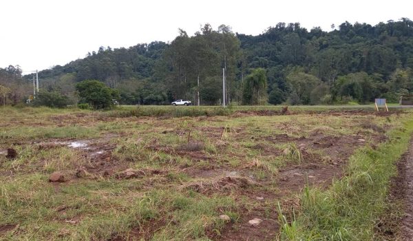 WhatsApp Image 2023-06-23 at 11.13.37