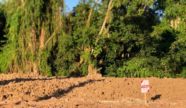 WhatsApp Image 2024-03-01 at 17.01.19