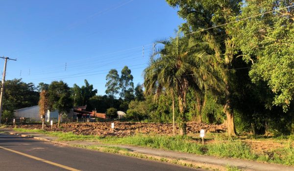 WhatsApp Image 2024-03-01 at 17.01.20