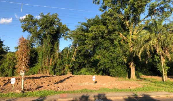 WhatsApp Image 2024-03-01 at 17.01.22