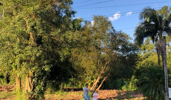 WhatsApp Image 2024-03-01 at 17.01.27 (1)