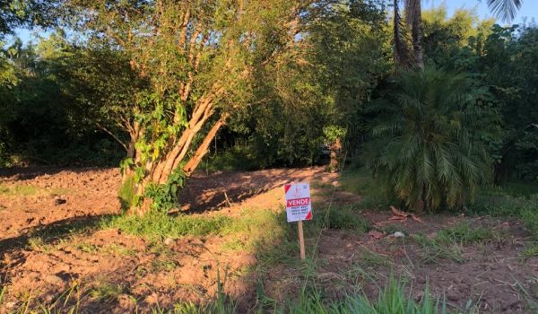 WhatsApp Image 2024-03-01 at 17.01.27 (2)