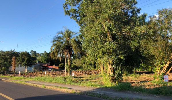 WhatsApp Image 2024-03-01 at 17.01.27