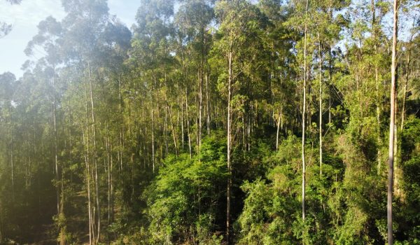 WhatsApp Image 2024-03-06 at 16.25.26 (1)