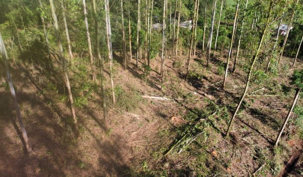 WhatsApp Image 2024-03-06 at 16.25.26