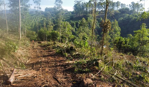 WhatsApp Image 2024-03-06 at 16.25.27