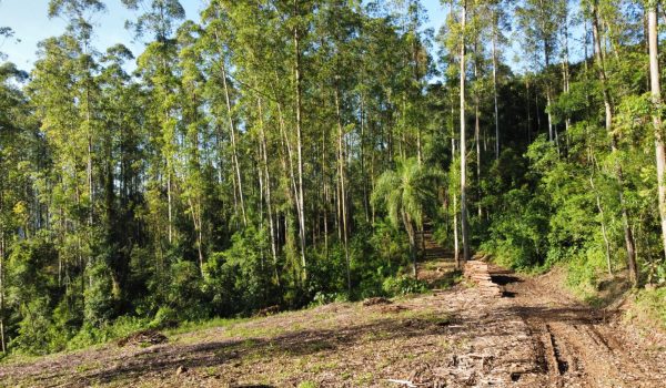 WhatsApp Image 2024-03-06 at 16.25.28 (1)