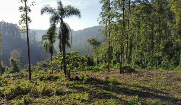 WhatsApp Image 2024-03-06 at 16.25.28 (2)