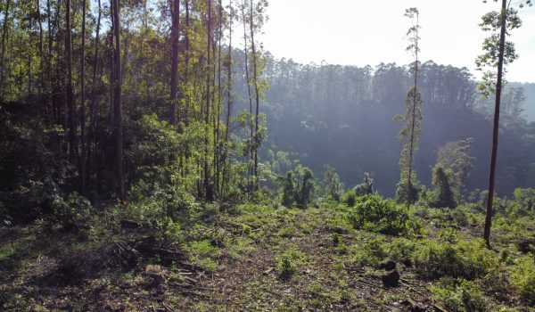 WhatsApp Image 2024-03-06 at 16.25.28 (3)