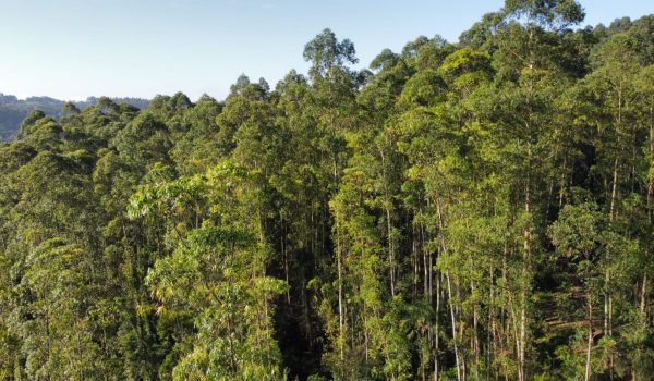 WhatsApp Image 2024-03-06 at 16.25.30