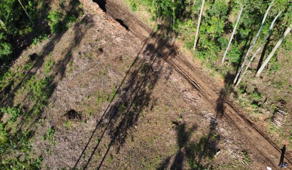 WhatsApp Image 2024-03-06 at 16.25.31 (1)