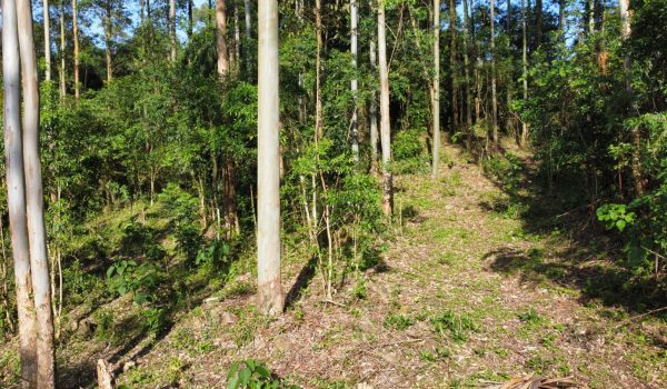 WhatsApp Image 2024-03-06 at 16.25.31 (2)