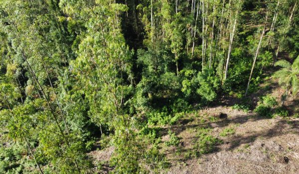 WhatsApp Image 2024-03-06 at 16.25.31