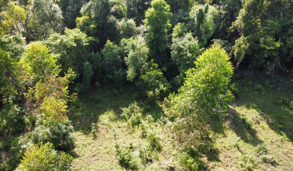 WhatsApp Image 2024-03-06 at 16.25.33 (1)