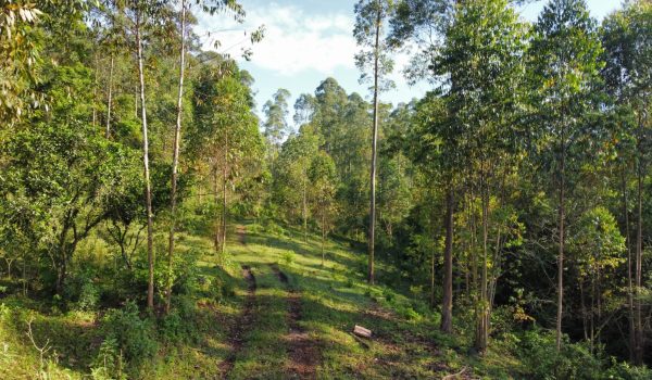 WhatsApp Image 2024-03-06 at 16.25.33 (2)