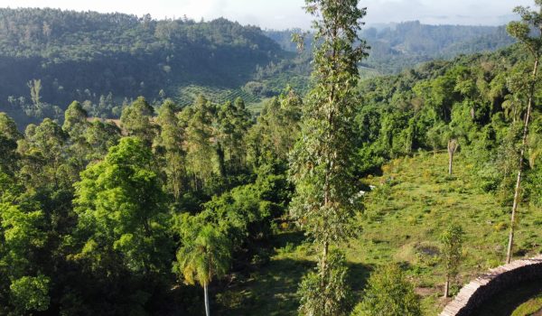 WhatsApp Image 2024-03-06 at 16.25.33 (3)