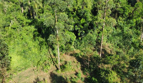 WhatsApp Image 2024-03-06 at 16.25.33 (4)