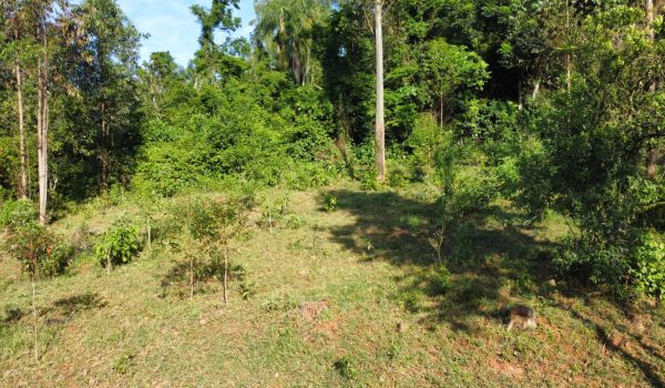 WhatsApp Image 2024-03-06 at 16.25.33