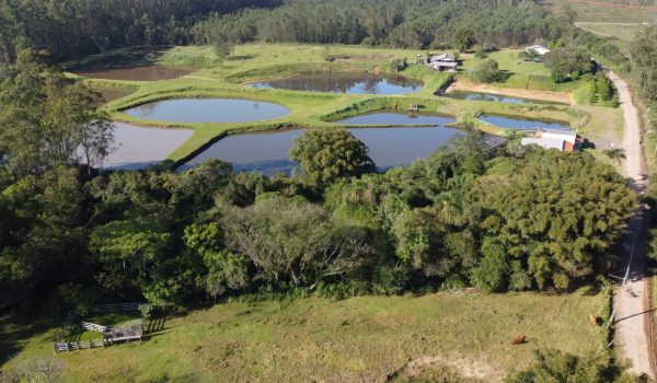 WhatsApp Image 2024-10-06 at 11.10.54 (1)