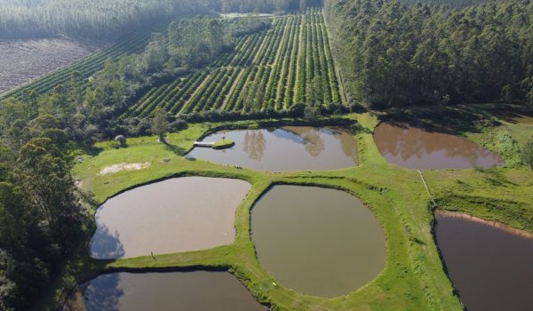 WhatsApp Image 2024-10-06 at 11.10.56