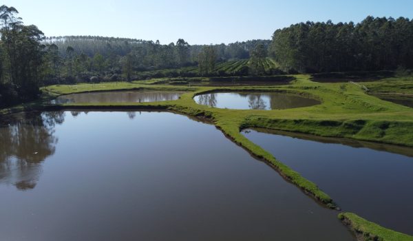 WhatsApp Image 2024-10-06 at 11.13.13 (1)