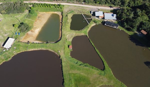 WhatsApp Image 2024-10-06 at 11.13.13