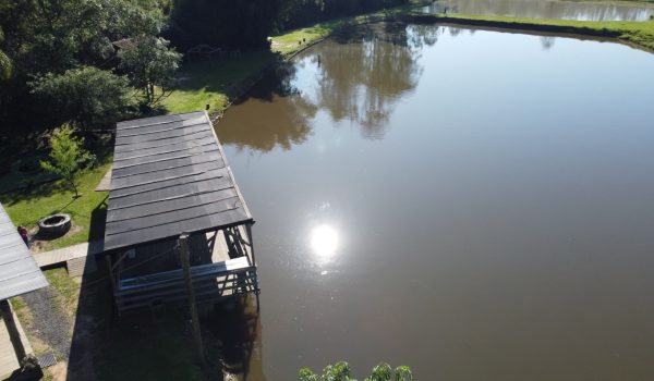 WhatsApp Image 2024-10-06 at 11.13.14