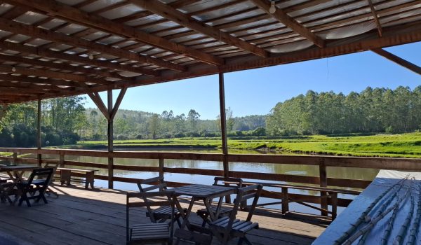 WhatsApp Image 2024-10-08 at 16.45.33