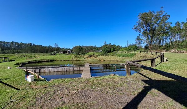 WhatsApp Image 2024-10-08 at 16.45.36 (2)