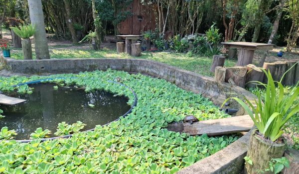 WhatsApp Image 2024-10-08 at 16.45.36