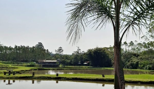 WhatsApp Image 2024-10-08 at 16.45.38